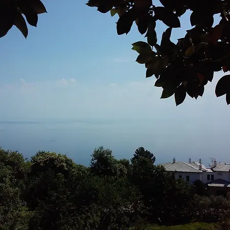 Guest house Alkmini 2*