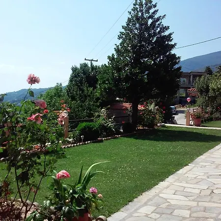 Alkmini 3*