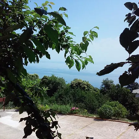Alkmini Agios Dimitrios (Magnesia)