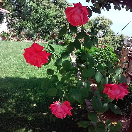 Alkmini Guest house Agios Dimitrios (Magnesia)