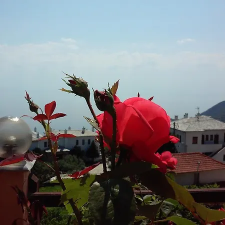 Alkmini Guest house 2*