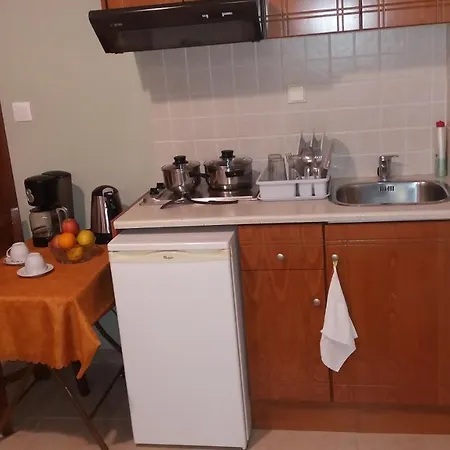 Guest house Alkmini 2*