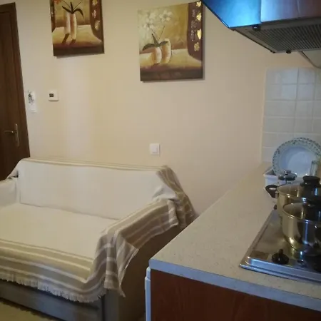 Guest house Alkmini 3*