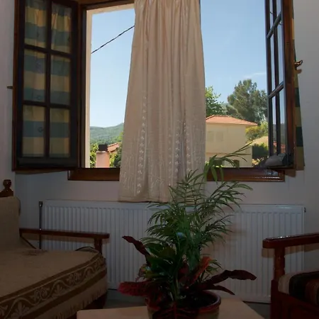 Alkmini